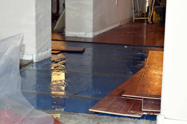 Professional Basement Flood Cleanup technician working in Byron, GA